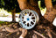 3-Piece FORGED WHEELS FOR ANY CAR BF-41