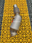 EXHAUST CATLESS DOWNPIPE for BMW 5 SERIES F36 430i 2.0T 2017 - 2020 Material: Stainless Steel Optionally: For extra cost we can add heat shield protection 200 cell catalytic converter Production time: 10 working days