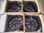 NOVITEC VOSSEN NF9 20 21 INCH FORGED WHEELS RIMS for FERRARI 296 GTB 2021