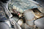 VALVED EXHAUST CATBACK MUFFLER for MERCEDES-BENZ AMG C43 3.0T 2019 Set includes: Center Pipes Muffles with valves Valve control box with remote control (you may also reuse your factory exhaust valve motors