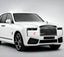 BLACK BADGE STYLE TRIM KIT for ROLLS ROYCE CULLINAN II SERIES 2 RR31 2024+ Forza Performance Custom fit
Set includes:
Front Bumper Air Vents
Rear Diffuser Trims
Material: Plastic (Gloss Black or Chrome Finish)
NOTE: Professional installation is required.