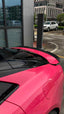 DRY CARBON BODY KIT for LOTUS EMEYA 2024+
Set includes:
Front Lip
Side Skirts
Roof Spoiler
Trunk Spoiler
Rear Bumper Air Vent Trims
Rear Diffuser
Material: Dry Carbon
Note: Professional installation is required.