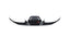 DRY CARBON FRONT BUMPER COVER for FERRARI F8 2019 - 2022
Set Include:
Front Bumper Air Vents Cover
Front Bumper Cover
Material: Dry Carbon
Note: Professional installation is required.
Why “Contact Us for Pricing”?
We don’t display fixed prices because our goal is to offer you the most competitive deal possible. Product costs often decrease over time, and by requesting a quote, you’ll receive our most up-to-date price on market.
SECURED PAYMENT METHODS
PayPal (+4.4% fee)
Visa / Mastercard / Ame