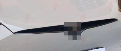 DRY CARBON FRONT GRILLE COVER for TESLA MODEL S 2023+