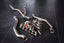 EXHAUST SYSTEM for FERRARI 599 V12 6.0L 2006 - 2012