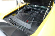 DRY CARBON ENGINE BAY COVER for LAMBORGHINI LP580 610 2014 - 2016
Set includes:
Engine Cover
Engine Bay Panel
Firewall Panel
Material: Dry Carbon