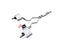 VALVED EXHAUST CATBACK MUFFLER for Land Rover Range Rover Sport L494 Facelift 2020+ 3.0T