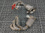 VALVED EXHAUST CATBACK MUFFLER for Porsche 911 GT3 992 4.0T