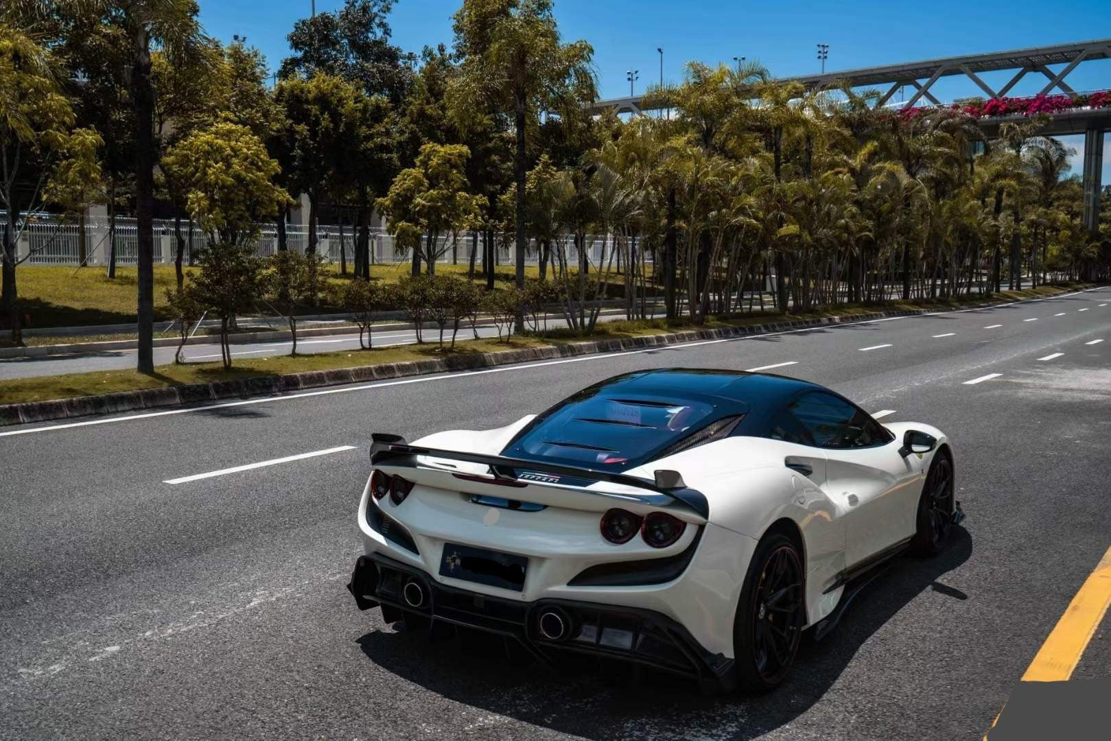 FPG Style Dry Carbon Fiver Body Kit For Ferrari F8  Set include:   Front lip Front trims Side skirts  Rear bumper Rear spoiler Material: Fiberglass with carbon fiber