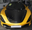 carbon fiber hood