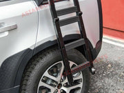 ladder defender
