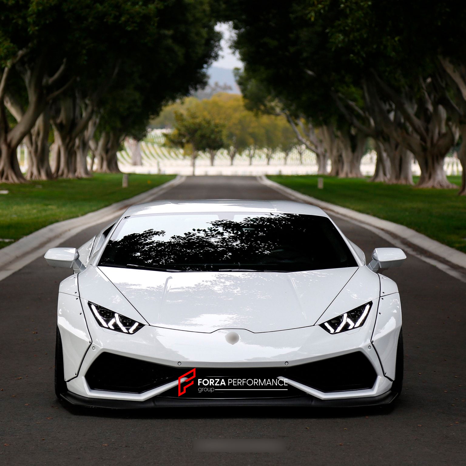 CARBON WIDE BODY KIT for LAMBORGHINI HURACAN LP610-4 COUPE 2014 - 2016

Set includes:

Front Lip

Front Fenders
Side Skirts
Rear Fenders
Rear Fender Flares
Rear Wing Spoiler
Rear Diffuser

Material: Carbon

NOTE: Professional installation is required

Why “Contact Us for Pricing”?

We don’t display fixed prices because our goal is to offer you the most competitive deal possible. Product costs often decrease over time, and by requesting a quote, you’ll receive our most up-to-date price on market.

SECURED PA