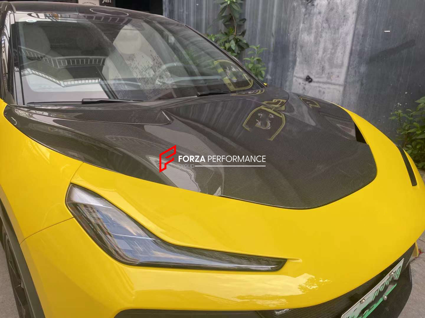 CARBON HOOD for LOTUS ELETRE  Set includes:  Hood