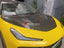 CARBON HOOD for LOTUS ELETRE  Set includes:  Hood
