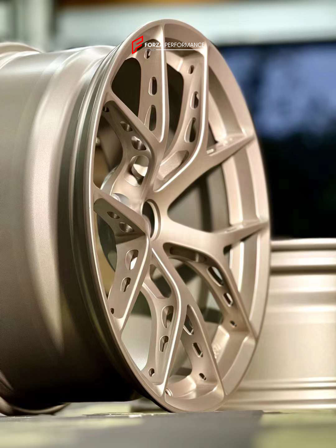 FORZA PERFORMANCE FORGED WHEELS RIMS for ZEEKR 001, 007, 009, X
