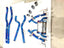 TITANIUM EXHAUST SYSTEM for BMW M3 G80 3.0T 2021+  Set includes:  Front pipes Center pipes Muffler with valves Exhaust tips