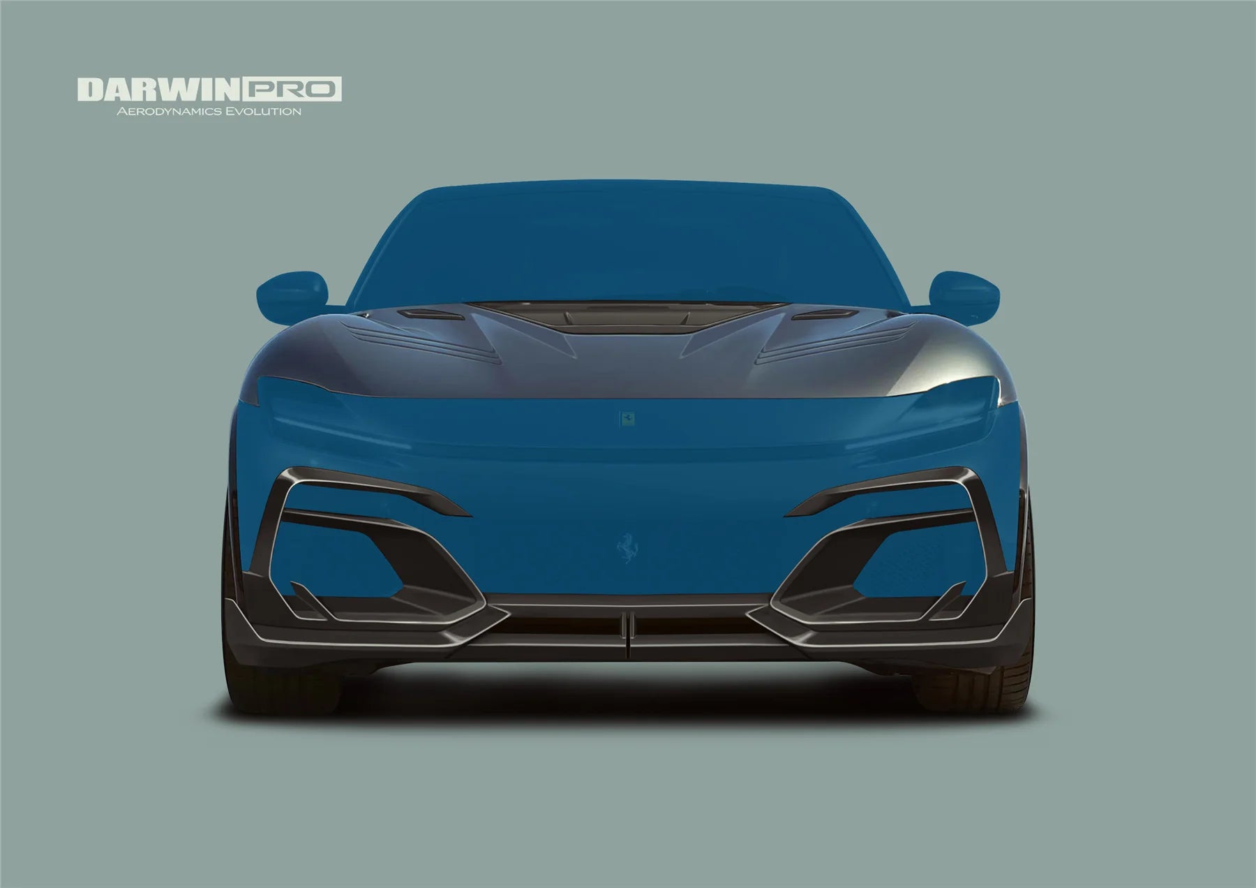 AUTHENTIC DARWINPRO CARBON BODY KIT for FERRARI PUROSANGUE F175 iMP Design Soft

Set includes:

Front Lips
Side Skirts
Rear Diffuser
Material: Carbon

NOTE: Professional installation is required.