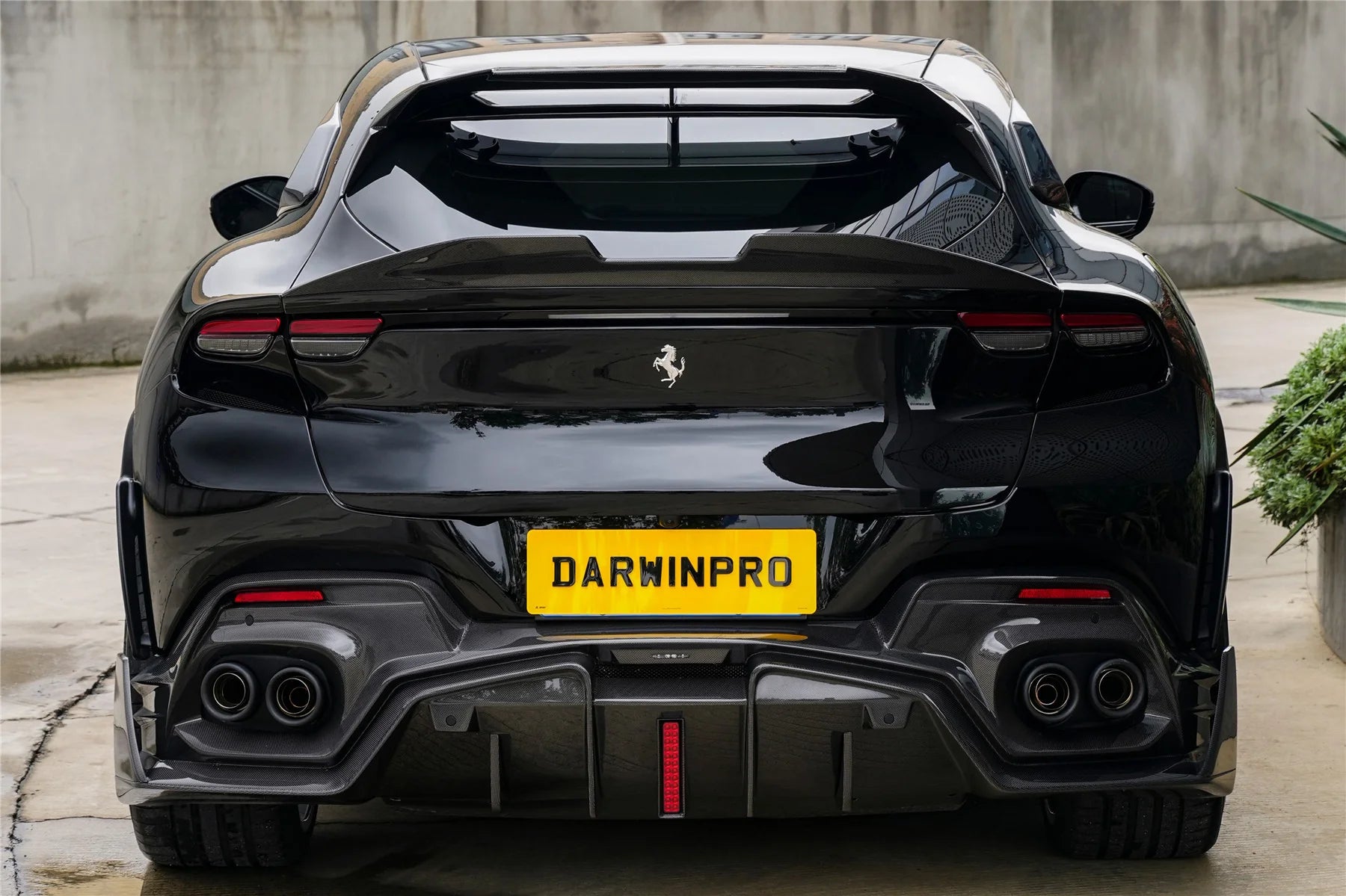 AUTHENTIC DARWINPRO CARBON BODY KIT for FERRARI PUROSANGUE F175 iMP Design Soft

Set includes:

Front Lips
Side Skirts
Rear Diffuser
Material: Carbon

NOTE: Professional installation is required.