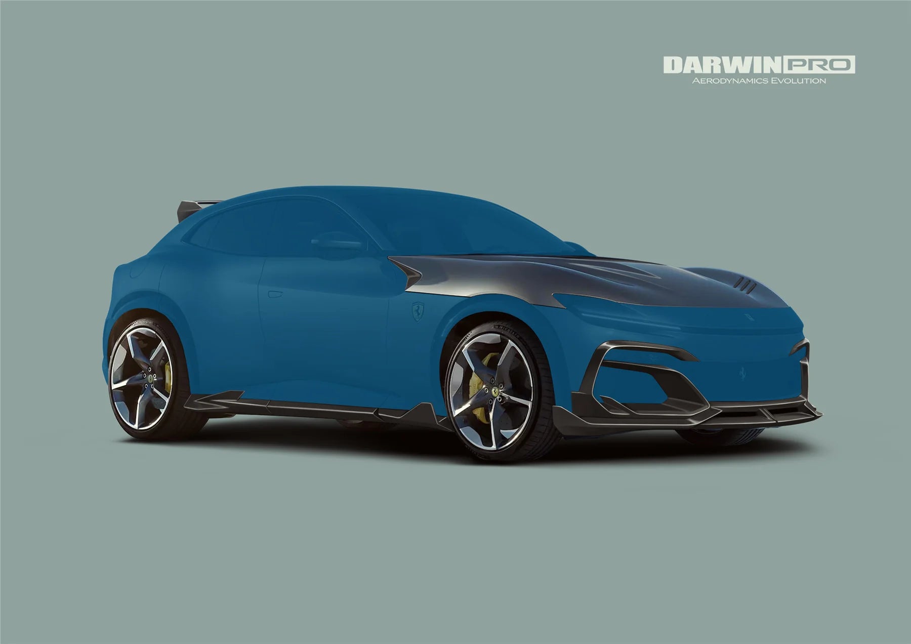 AUTHENTIC DARWINPRO CARBON BODY KIT for FERRARI PUROSANGUE F175 iMP Design Soft

Set includes:

Front Lips
Side Skirts
Rear Diffuser
Material: Carbon

NOTE: Professional installation is required.