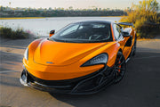 AUTHENTIC DARWINPRO CARBON FRONT LIP for MCLAREN 600LT 570S 2015 - 2021
Set includes:

Front Lip
Material: Carbon

NOTE: Professional installation is required