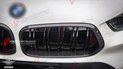 AUTHENTIC SOOQOO DRY CARBON DUAL SLAT FRONT GRILLE for BMW X2 F39 2020+ Forza Performance custom fit buy OEM Style