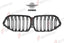 AUTHENTIC SOOQOO DRY CARBON DUAL SLAT FRONT GRILLE for BMW X6 G06 PRE-LCI 2020 - 2023 Forza Performance custom fit buy OEM Style