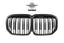 AUTHENTIC SOOQOO DRY CARBON FIBER FRONT GRILLE for BMW X7 G07 2019 - 2022
Set includes:

Front Grille
Material: Dry Carbon

NOTE: Professional installation is required.
