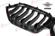 AUTHENTIC SOOQOO DRY CARBON SINGLE SLAT FRONT GRILLE for BMW X6 G06 PRE-LCI 2020 - 2023 Forza Performance custom fit buy OEM Style