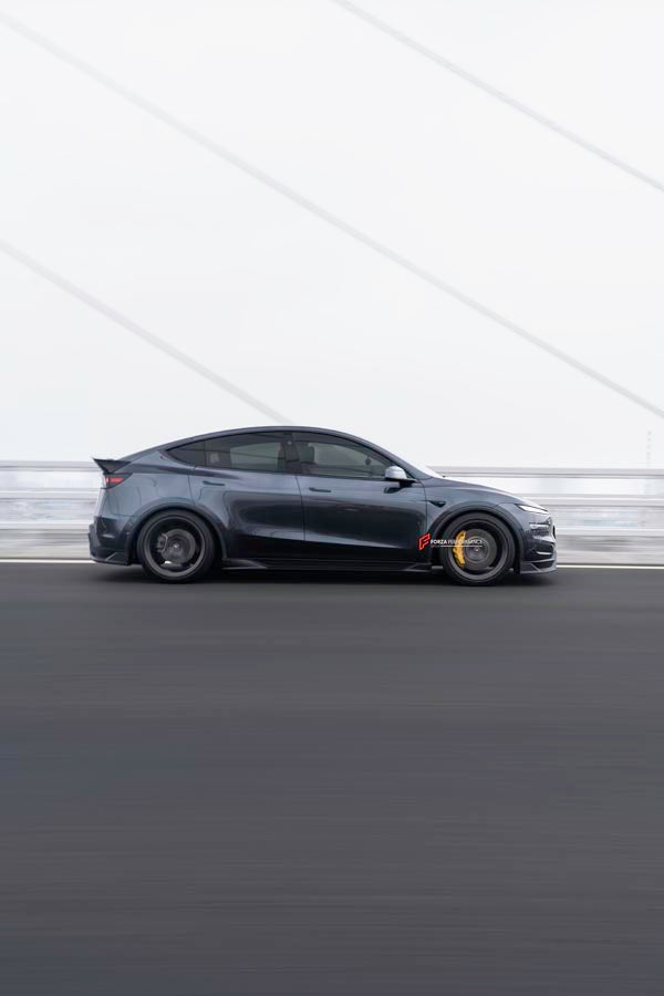 BODY KIT for TESLA MODEL Y JUNIPER 2025+

Set includes:

Front Lip

Side Skirts

Rear Spoiler
Rear Diffuser

Material: Plastic

Note: Professional installation is required