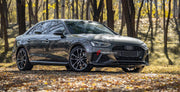 CARBON BODY KIT for AUDI A4 S4 B9 2019 - 2025 FORZA PERFORMANCE Custom fit Dry Carbon Achen Cybe Achencybe Design Style
Set includes:

Front Lip
Rear Diffuser (A4 version or S4 four-outlet exhaust version — specify your model)
Rear Spoiler
Material: Carbon

NOTE: Professional installation is required.