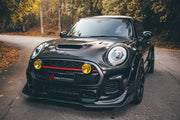 CARBON BODY KIT for BMW Mini Cooper III 2014 - 2021
Set includes:

Front Lip
Front Bumper Fins
Front Fenders
Side Skirts
Rear Fenders
Rear Diffuser
Rear Bumper
Material: Carbon

NOTE: Professional installation is required.