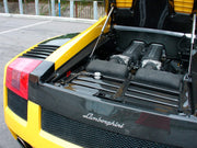 CARBON ENGINE BAY PANELS for LAMBORGHINI GALLARDO COUPE 2003 - 2008

Set Include:

Engine Bay Panels

Material: Carbon


Note: Professional installation is required.

Why “Contact Us for Pricing”?

We don’t display fixed prices because our goal is to offer you the most competitive deal possible. Product costs often decrease over time, and by requesting a quote, you’ll receive our most up-to-date price on market.

SECURED PAYMENT METHODS&nbsp;
PayPal (+4.4% fee)
Visa / Mastercard / American Express (through 