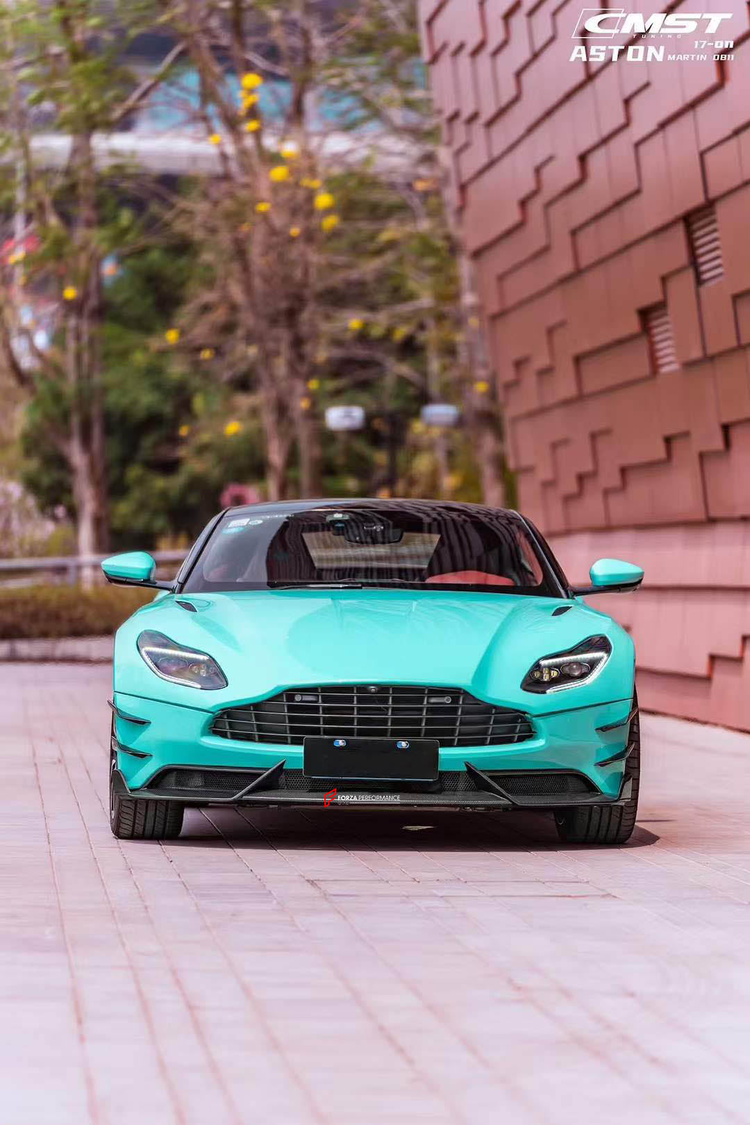 CARBON BODY KIT for ASTON MARTIN DB11 2016 - 2023  Set includes:  Front Lip Front Canards Side Skirts  Rear Diffuser Rear Spoiler