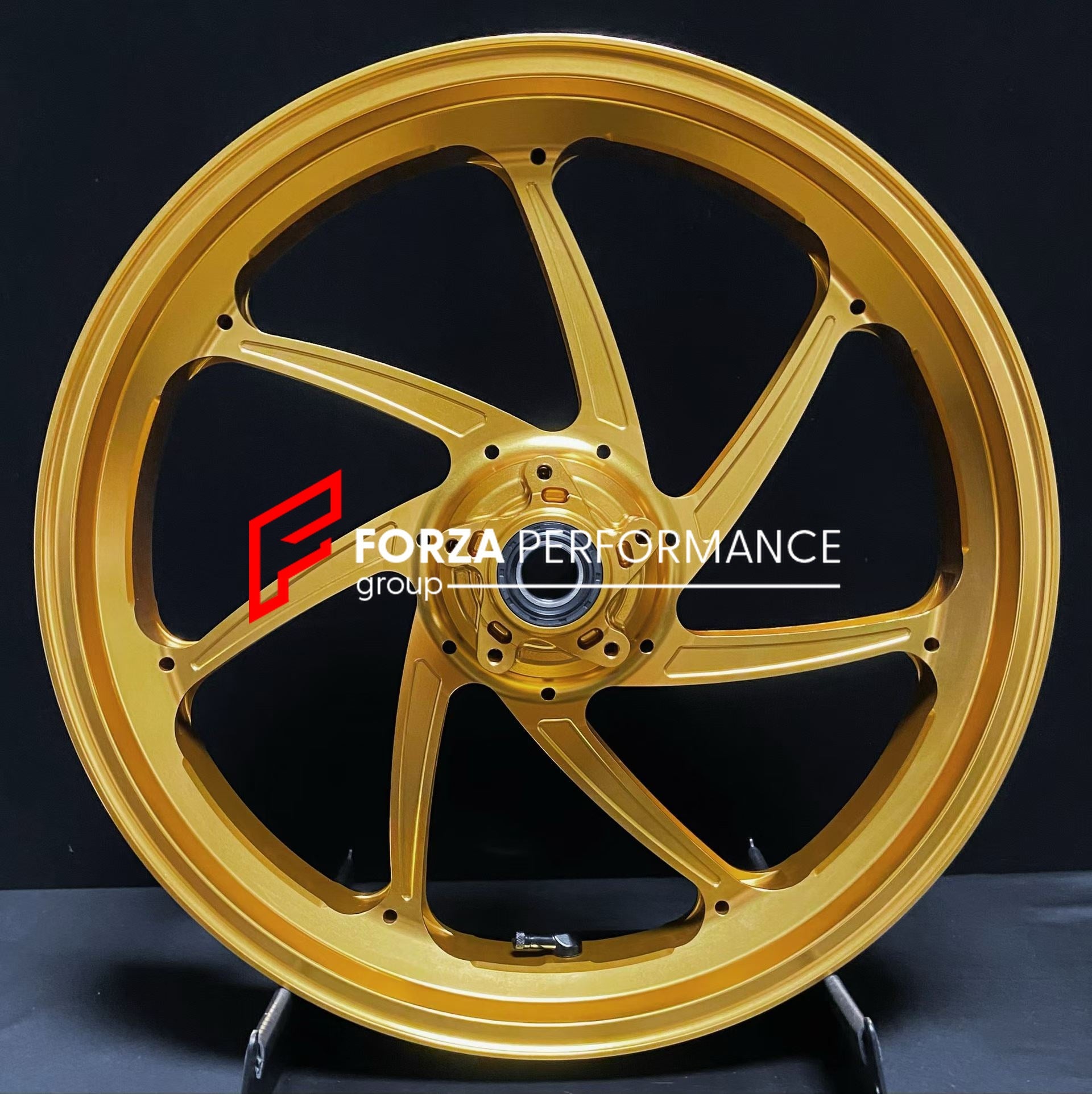 CUSTOM FORGED WHEELS RIMS for DUCATI PANIGALE V4