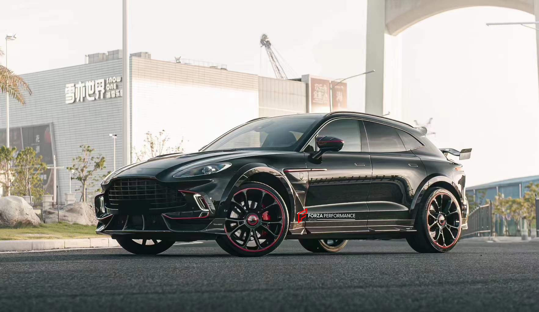 DRY CARBON BODY KIT for ASTON MARTIN DBX  Set includes:  Front Lip Side Fenders Hood Air Vents Side Air Vents Front Canards Side Skirts Rear Bumper Exhaust System Exhaust Tips