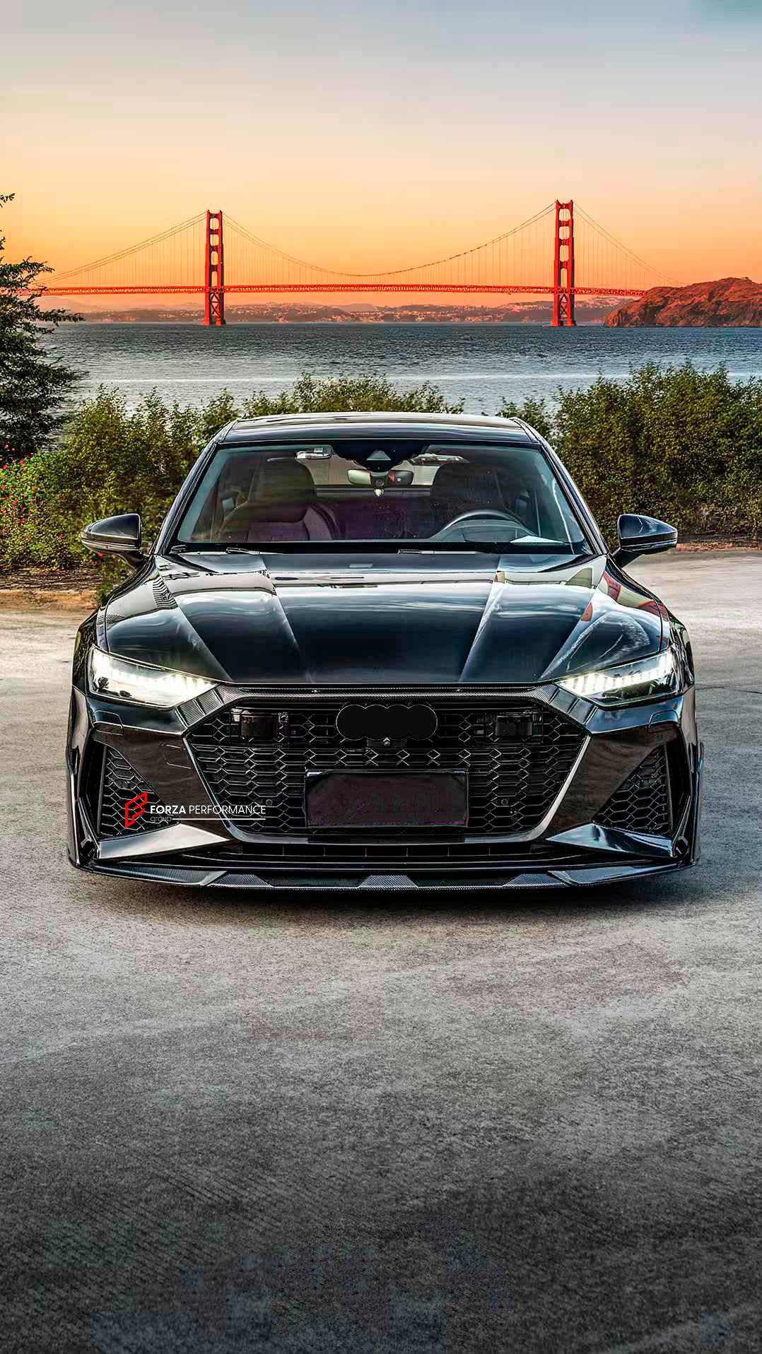 DRY CARBON BODY KIT for AUDI RS7 C8 2019+

Set includes:

Front Lip
Side Skirts

Rear Diffuser with LED Lights

Material: Dry Carbon

* Each part can be sent separately

NOTE: Professional installation is required
