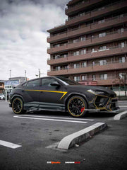 AUTHENTIC DARWINPRO DRY CARBON BODY KIT FOR LAMBORGHINI URUS 2018+

Set includes:

Front Lip
Front Bumper

Hood
Side Fenders
Side Skirts
Roof Spoiler
Rear Spoiler
Rear Bumper
Rear Side Fenders
Rear Diffuser

Material: Dry Carbon

Note: Professional installation is required

CONTACT US FOR PRICING

Payment ►
Visa
Mastercard
PayPal with a credit card (add 4.4% at checkout)
Payoneer
Cryptocurrency
Shipment ►
By express DHL/UPS/TNT/FedEx
To the local international airport
Special line by air
Special line by the