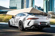 DRY CARBON BODY KIT for Mercedes Benz GT43 GT50 GT53 GT63 2018+
Set includes:

Front Bumper Assembly
Front Bumper Fins
License Plate
Front Splitters
Front Grille
Front Fenders
Side Skirts
Rear Fenders
Rear Diffuser
Rear Bumper Fins
Material: Dry Carbon

NOTE: Professional installation is required.