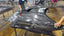 DRY CARBON HOOD BONNET for FERRARI PUROSANGUE 2023+ FORZA PERFORMANCE Novitec
Set includes:

Hood Bonnet
Material: Dry Carbon

NOTE: Professional installation is required.