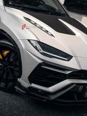 DRY CARBON HOOD BONNET for LAMBORGHINI URUS 2018+

Set includes:


Hood Bonnet

Material: Dry Carbon

Note: Professional installation is required