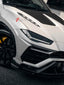 DRY CARBON HOOD BONNET for LAMBORGHINI URUS 2018+

Set includes:


Hood Bonnet

Material: Dry Carbon

Note: Professional installation is required