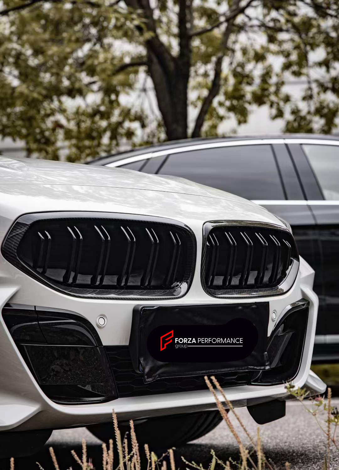 CARBON FRONT GRILLE for BMW Z4 G29 2018 - 2022  Set includes:  Front Grille