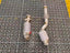 EXHAUST DOWNPIPE for BMW M3 G80 3.0T 2021 + FORZA PERFORMANCE Custom Fit

Set includes:

Catted or Catless Downpipe
Material: Stainless Steel

Production time: 10-15 days
