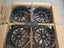 FORGED WHEELS RIMS FOR LEXUS TZ 2027 Forza Performance custom fit buy VOSSEN EVO6T