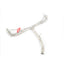 VALVED EXHAUST CATBACK MUFFLER System For Lexus NX300