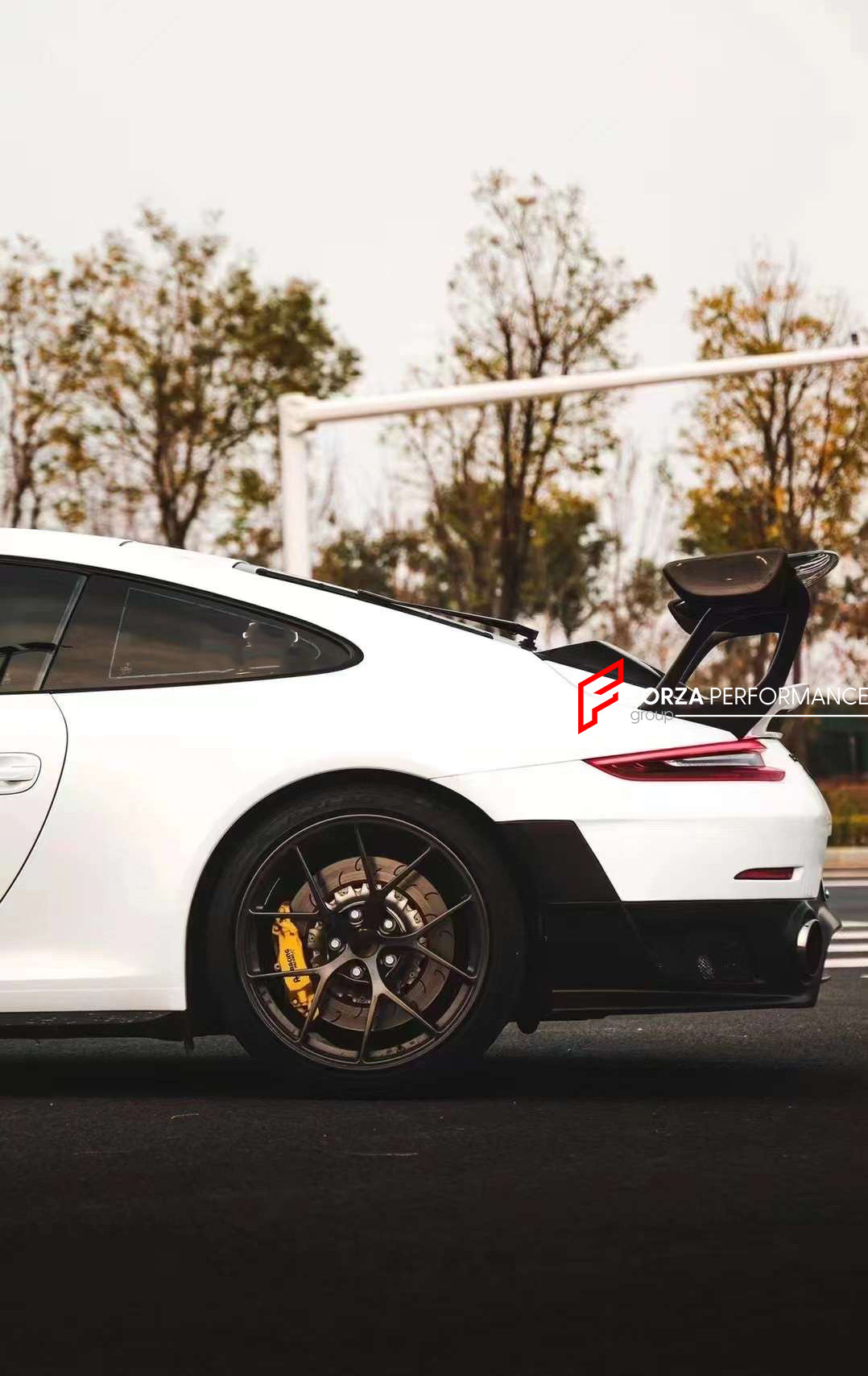 AUTHENTIC DARWINPRO CARBON REAR SPOILER for PORSCHE 911 991 991.2 CARRERA  Set includes:  Rear Spoiler
