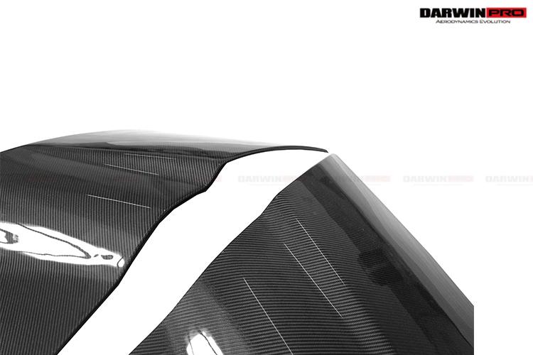 Genuine Audi R8 Coupe/Spyder 2009-2015 DarwinPro Side Blades