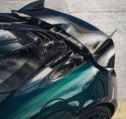 carbon body-kit