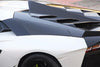 Carbon Engine Hood Vents For Lamborghini Aventador LP700  Set include:   Engine Hoods Vents Material: Real Carbon Fiber