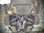VALVED EXHAUST CATBACK MUFFLER for Mercedes-Benz CLS 450